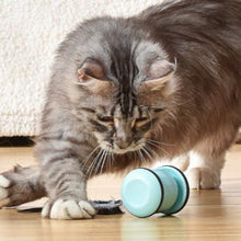 Load image into Gallery viewer, 5