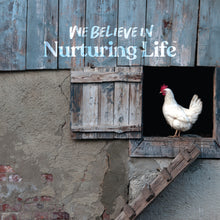 Load image into Gallery viewer, 6