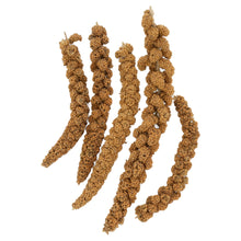 Load image into Gallery viewer, 1