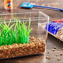 Load image into Gallery viewer, 2