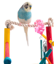 Load image into Gallery viewer, 8