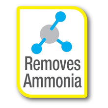 Load image into Gallery viewer, 6