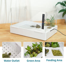 Load image into Gallery viewer, 6