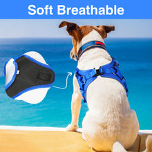 Load image into Gallery viewer, 5