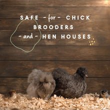 Load image into Gallery viewer, 1