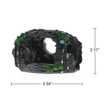 Load image into Gallery viewer, 1