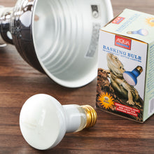 Load image into Gallery viewer, 1