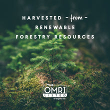 Load image into Gallery viewer, 2