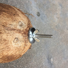 Load image into Gallery viewer, 7