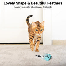 Load image into Gallery viewer, 8