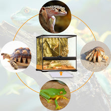 Load image into Gallery viewer, 6