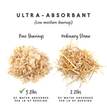 Load image into Gallery viewer, 3