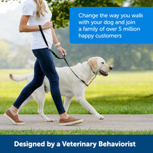 Load image into Gallery viewer, 4