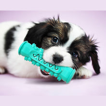 Load image into Gallery viewer, 6