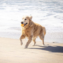 Load image into Gallery viewer, 3