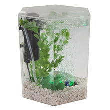 Load image into Gallery viewer, 4