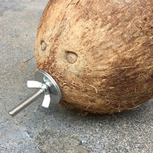 Load image into Gallery viewer, 8