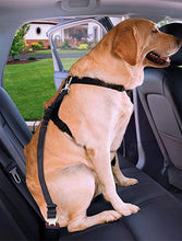 Load image into Gallery viewer, 0