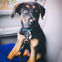 Load image into Gallery viewer, 3