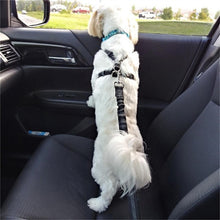 Load image into Gallery viewer, 4